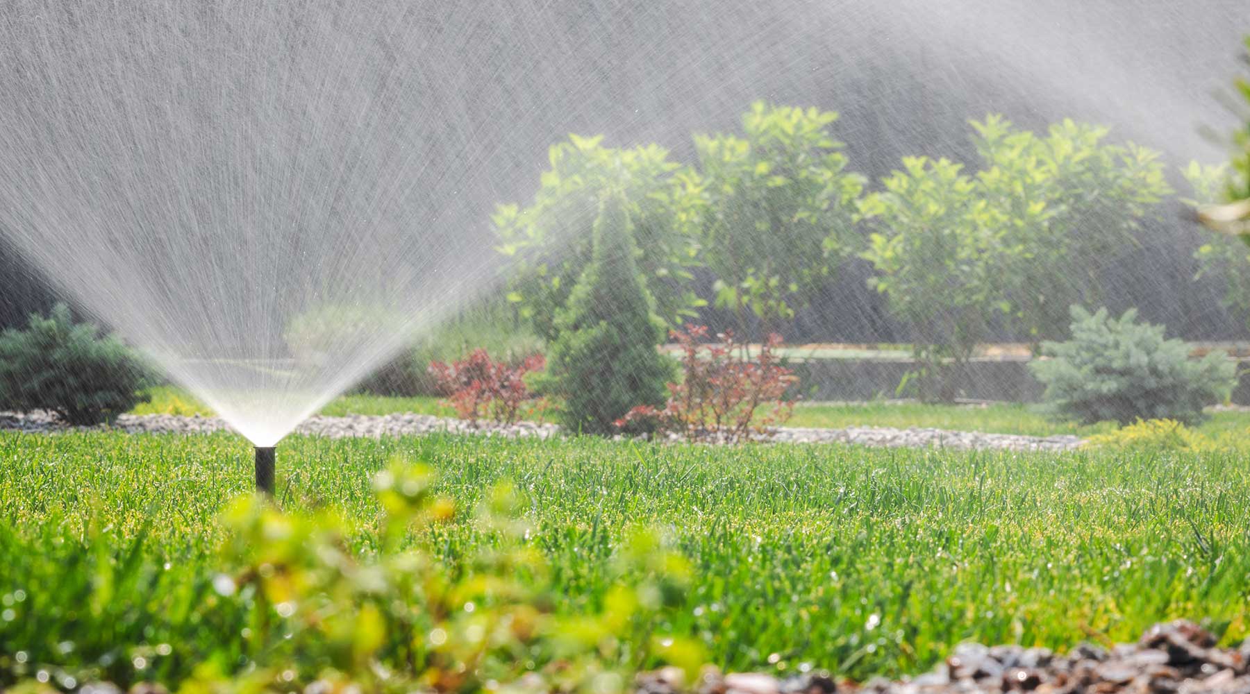 Sprinkler Repair Rollingwood TX with outdoor lighting installed