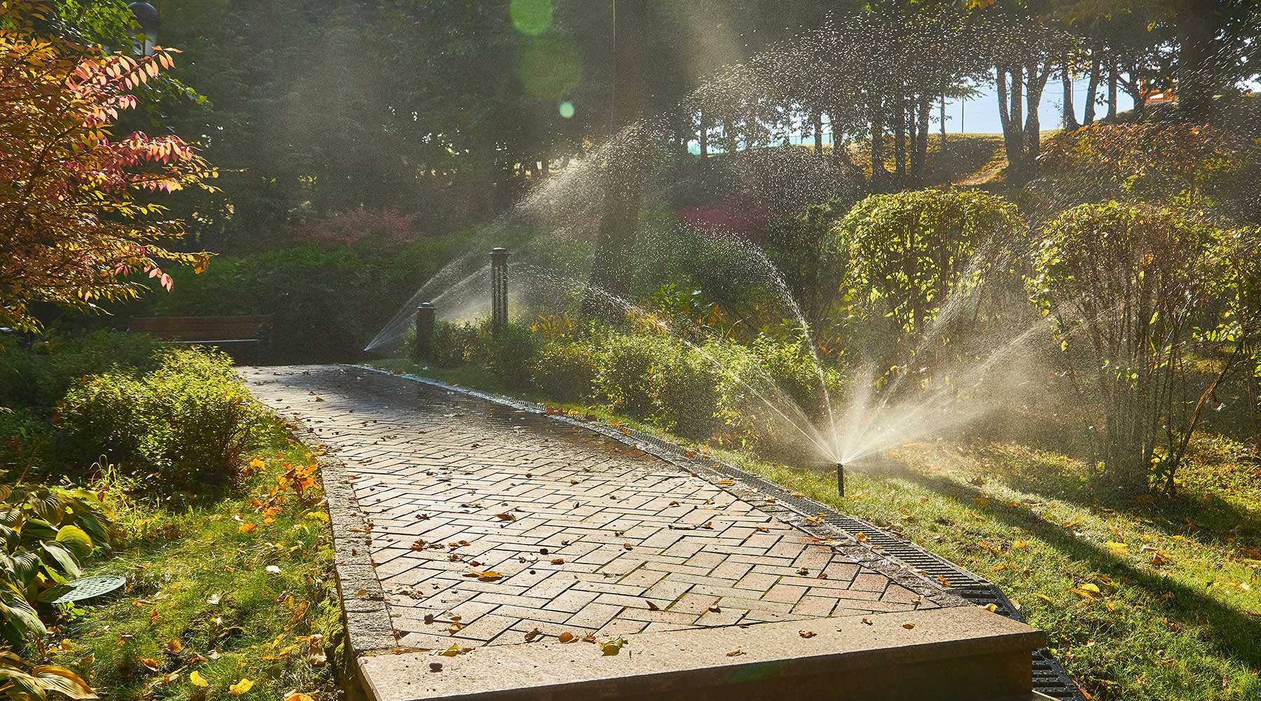 Sprinkler Repair Round Rock TX
